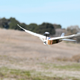 PigeonBot
Foto: Lentink Lab / Stanford University